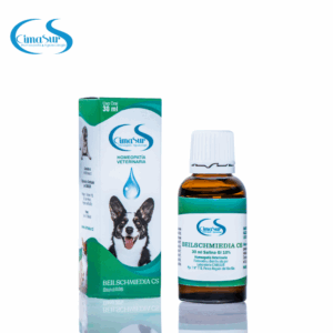 Beilschmiedia CS - Etanol