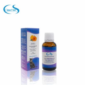 E.F. Aprende CS - Salina