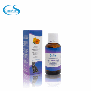 E.F. Cambios CE - Salina