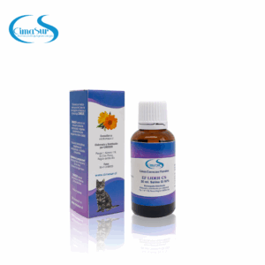 E.F. Lider CS - Salina