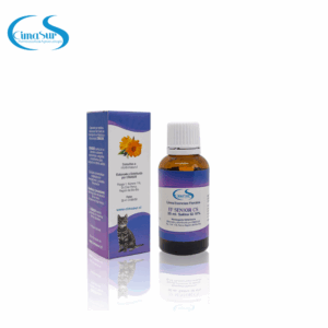 E.F. Senior CS - Salina